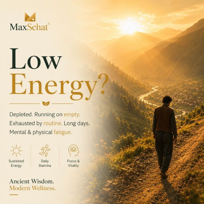 Depleted Energy, Exhausted, Mental and physical fatigue