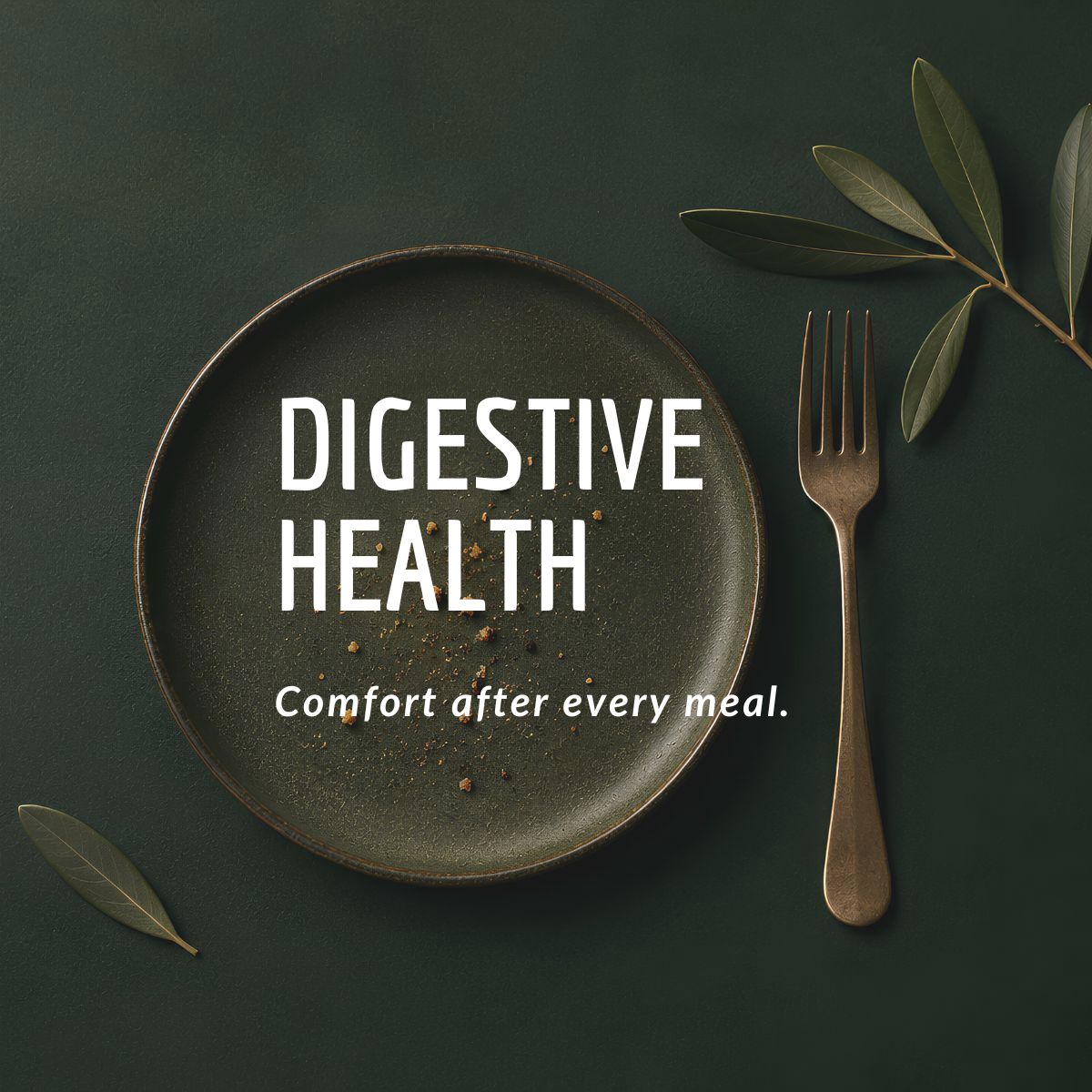 MaxSehat Digestive Health collection featuring traditional herbs for digestive comfort and balance