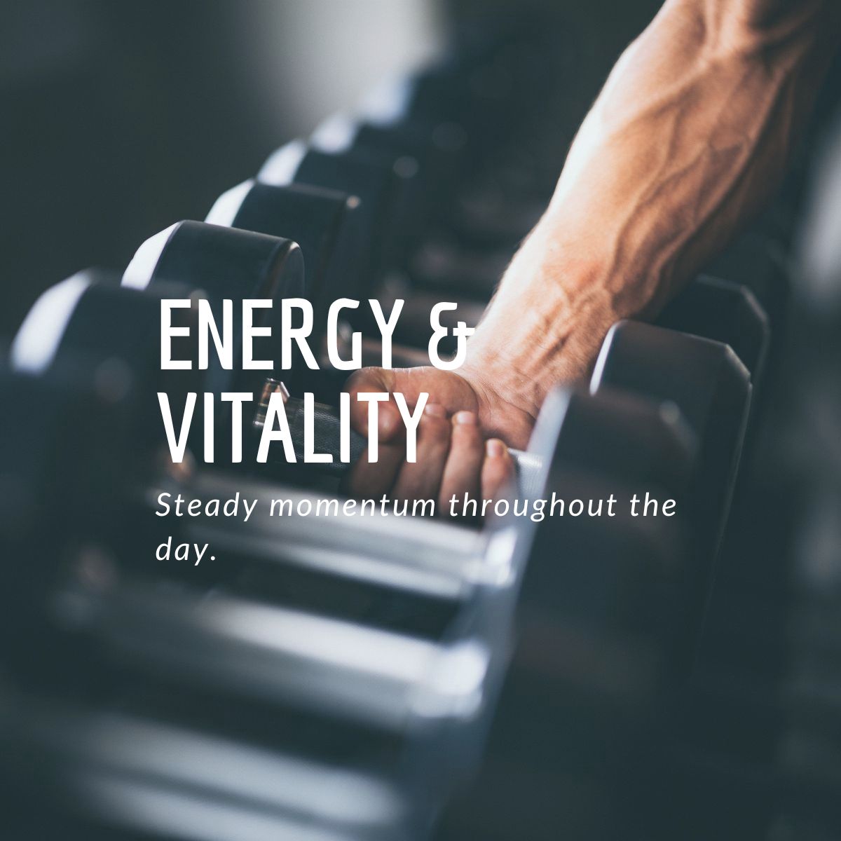 MaxSehat Energy and Vitality collection featuring traditional herbs for daily vitality and wellness