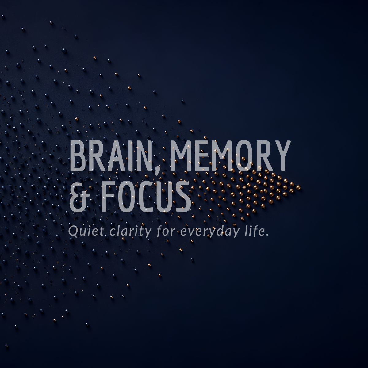 MaxSehat Focus and Memory collection featuring botanicals traditionally used for mental clarity and concentration