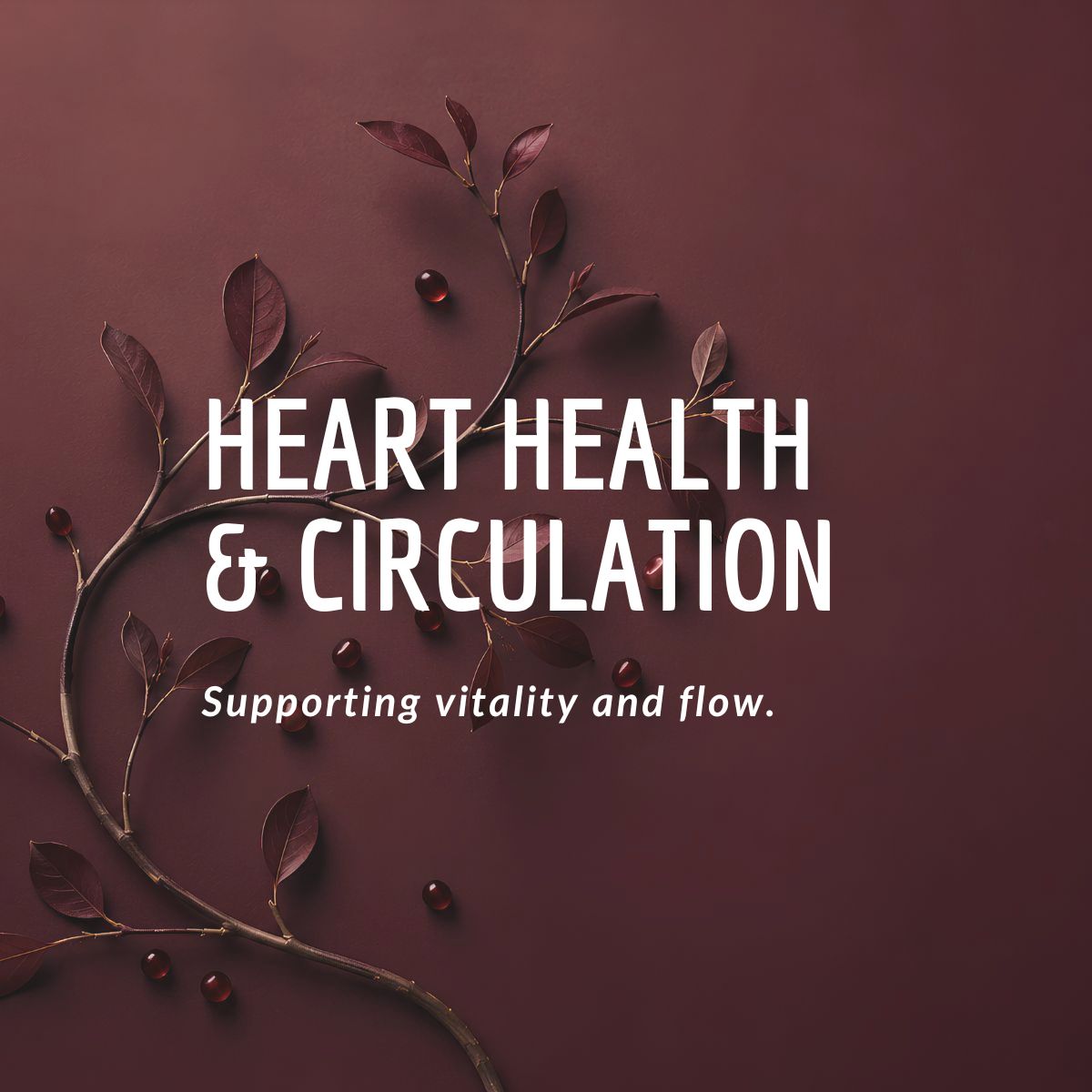 MaxSehat Heart Health and Circulation collection featuring Arjuna, Amla and Garlic herbal blends