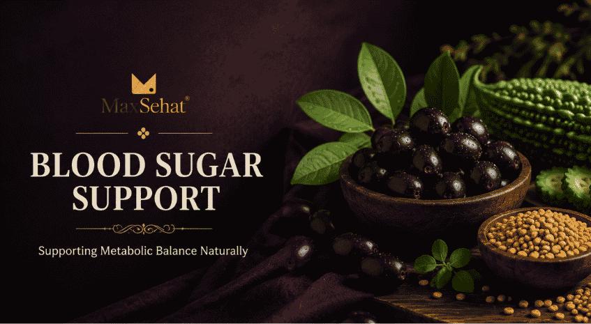 MaxSehat Blood Sugar Support collection featuring herbal wellness blends with Jamun Seed, Karela and Fenugreek