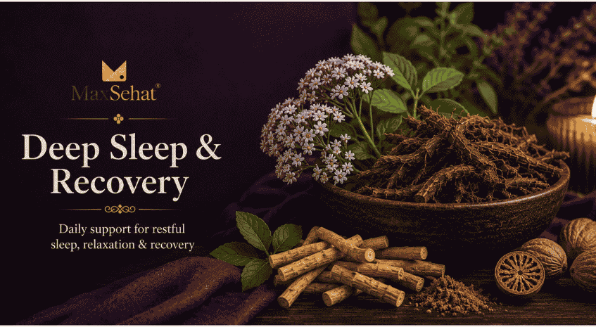 MaxSehat Sleep and Recovery collection featuring calming herbal wellness blends