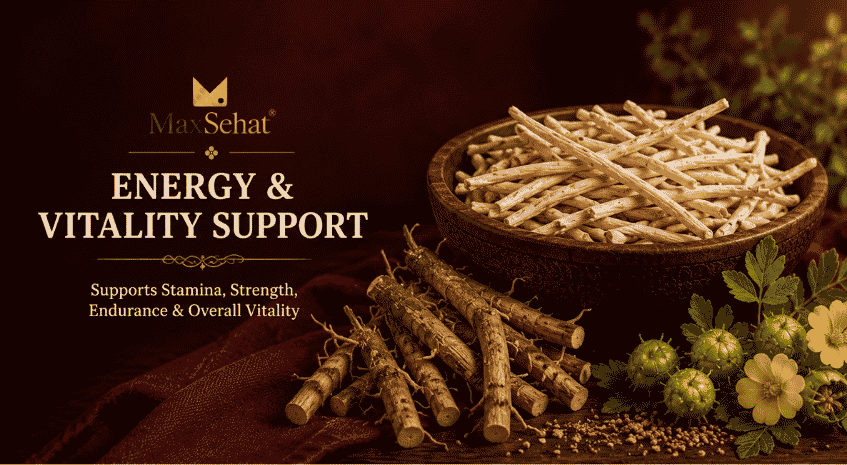 MaxSehat Energy and Vitality collection featuring traditional herbs for daily vitality and wellness