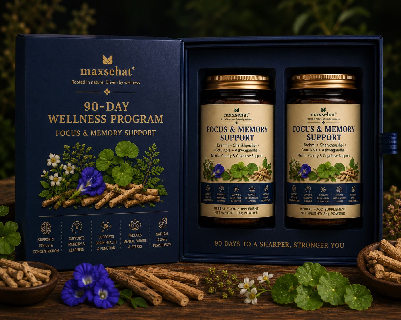 MaxSehat 90-Day wellness program for focus, concentration, and memory support in a premium presentation box.