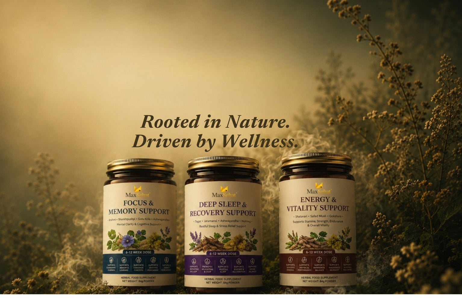 MaxSehat herbal wellness blends and botanical ingredients for everyday health and wellness support