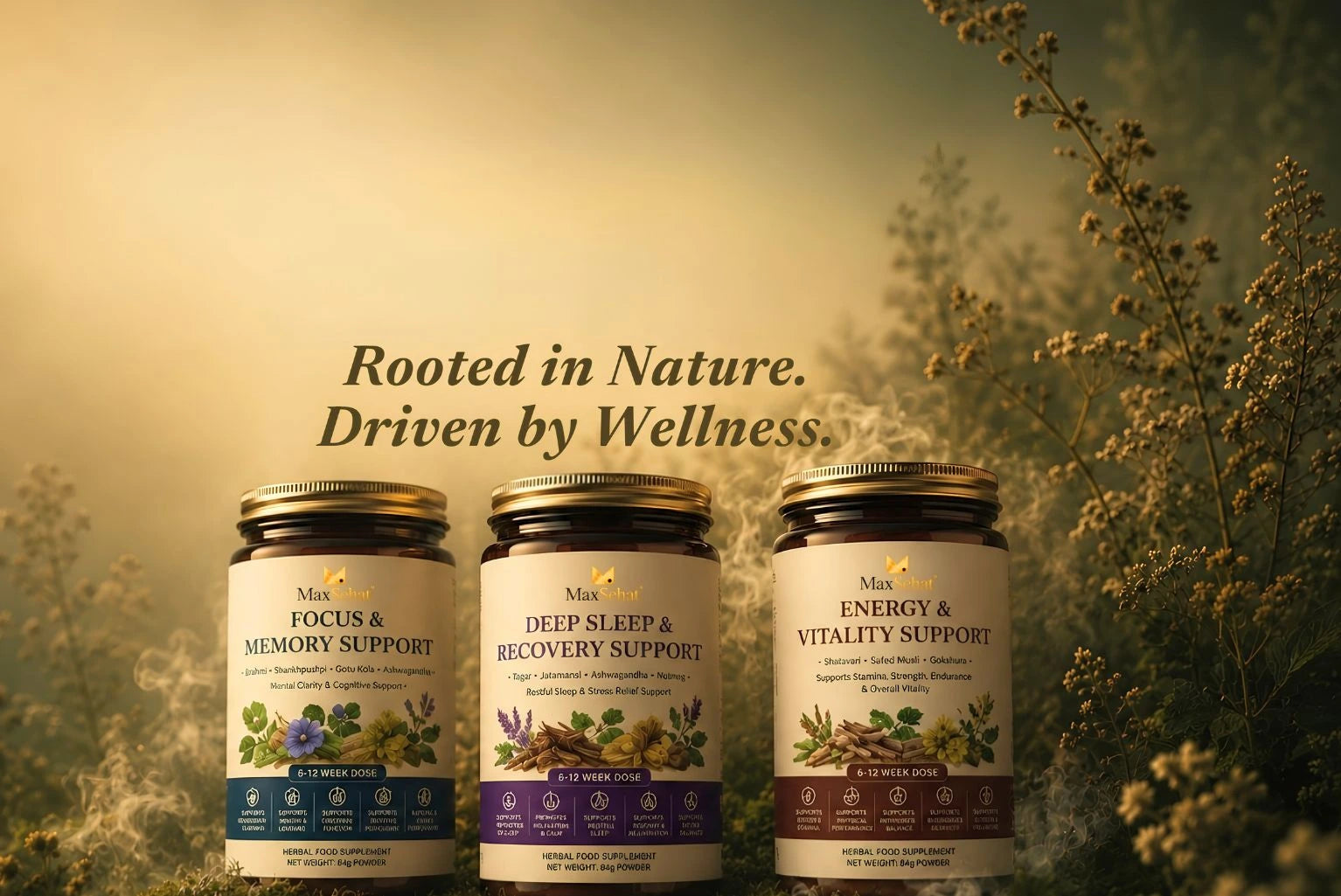MaxSehat herbal wellness blends and botanical ingredients for everyday health and wellness support