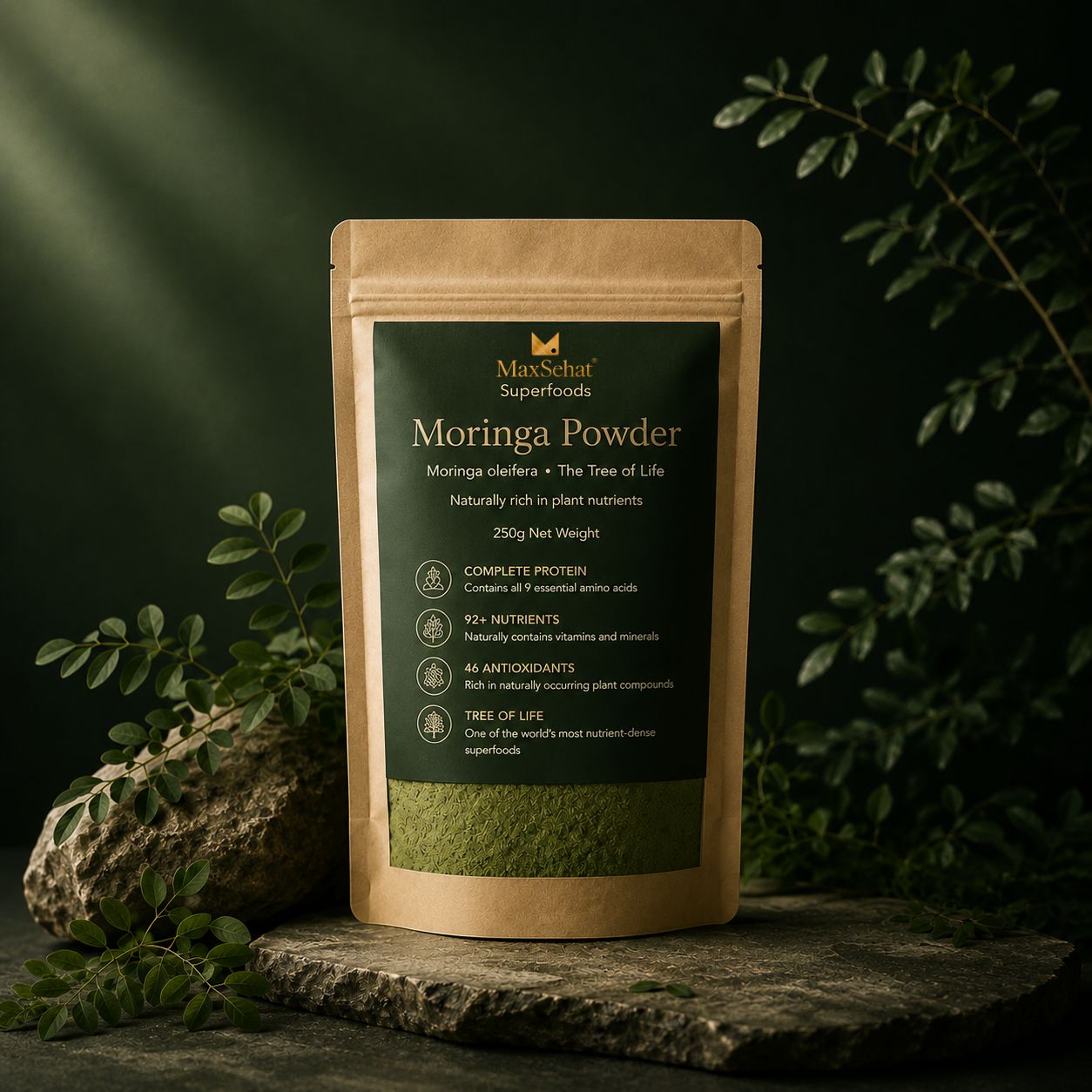 MaxSehat Moringa Powder 250g in Pakistan featuring nutrient-rich moringa leaf powder superfood